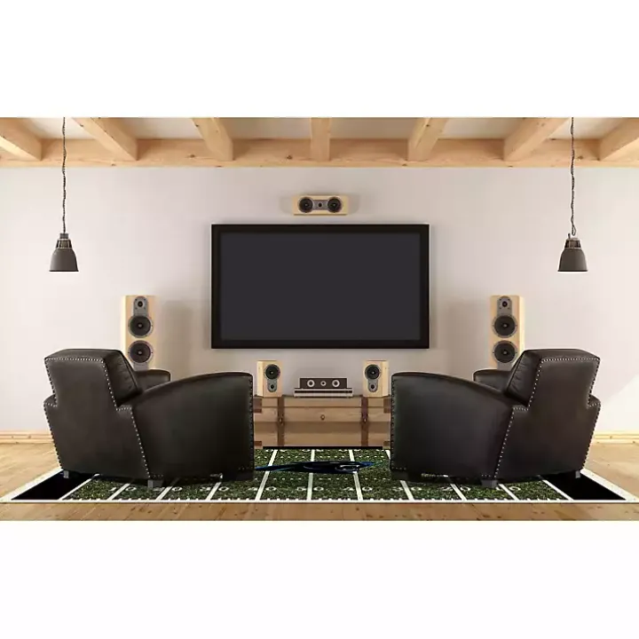 Carolina Panthers Home Field Area Rug, 6x8
