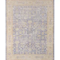 Cerulean Vintage Border Area Rug, 5x7