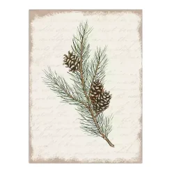 Christmas Pine and Cone Canvas Art Print