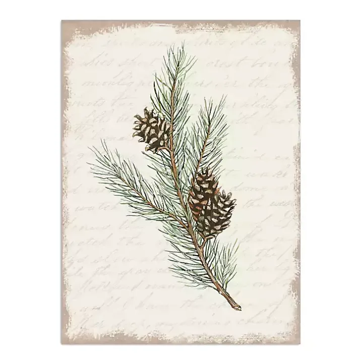 Christmas Pine and Cone Canvas Art Print