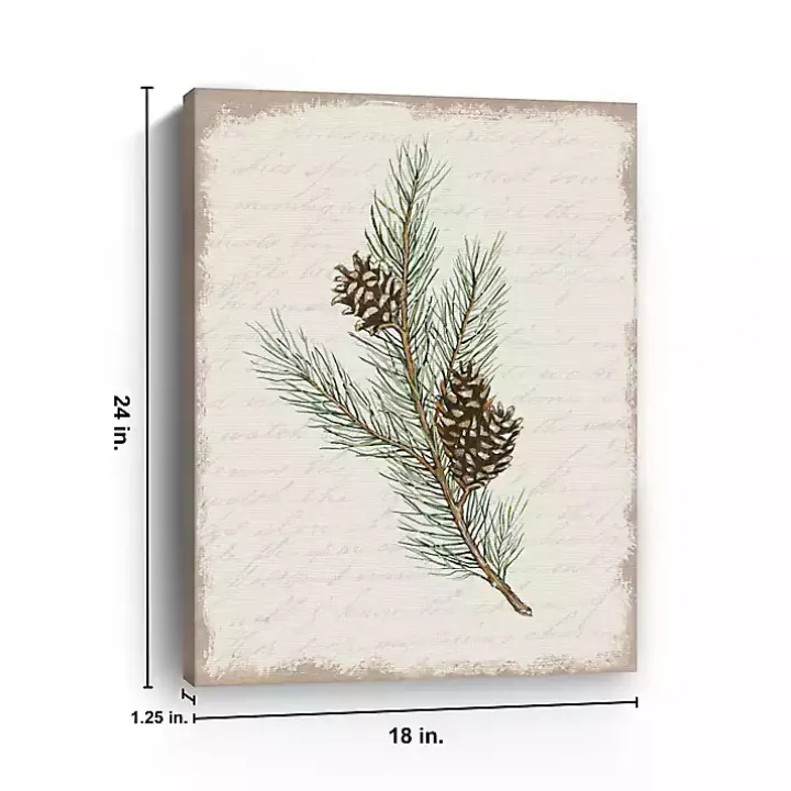 Christmas Pine and Cone Canvas Art Print
