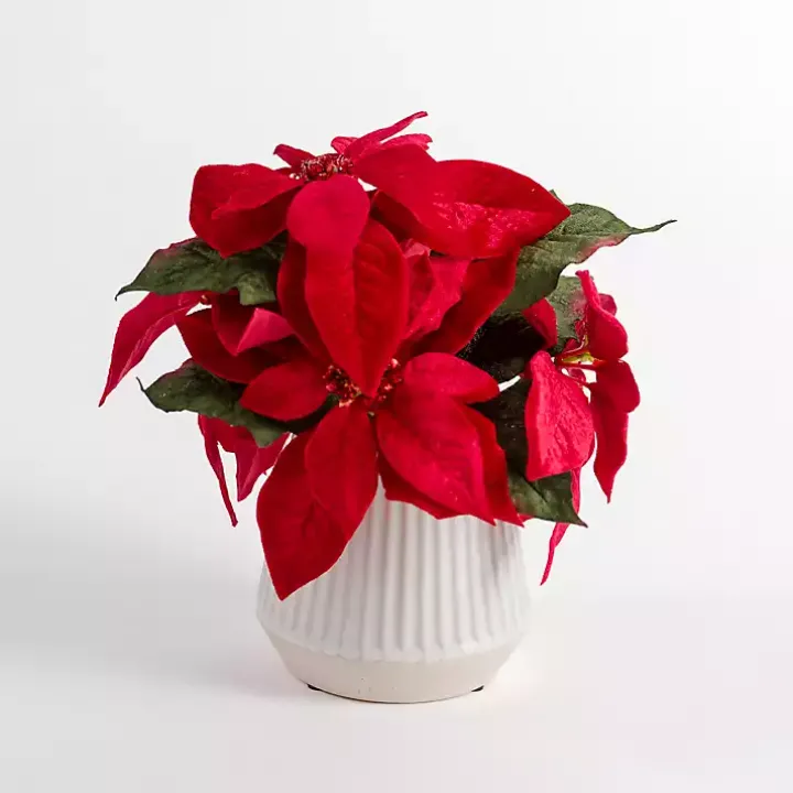Christmas Poinsettia Arrangement