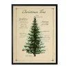 Christmas Tree Definition Framed Art Print