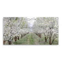 Countryside Path Canvas Art Print