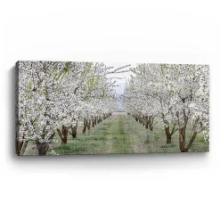 Countryside Path Canvas Art Print