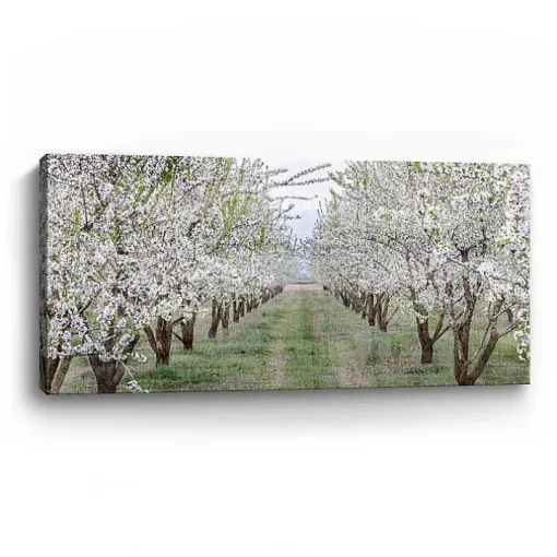 Countryside Path Canvas Art Print