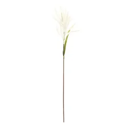 Cream Astible Stems, Set of 6