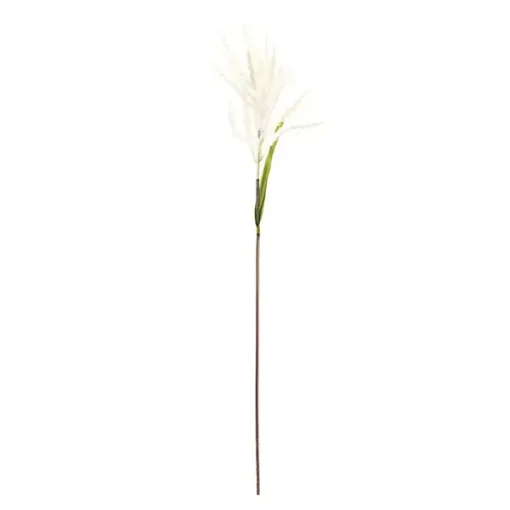 Cream Astible Stems, Set of 6