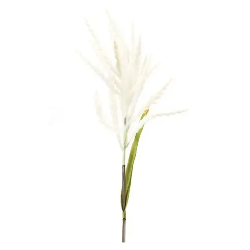 Cream Astible Stems, Set of 6