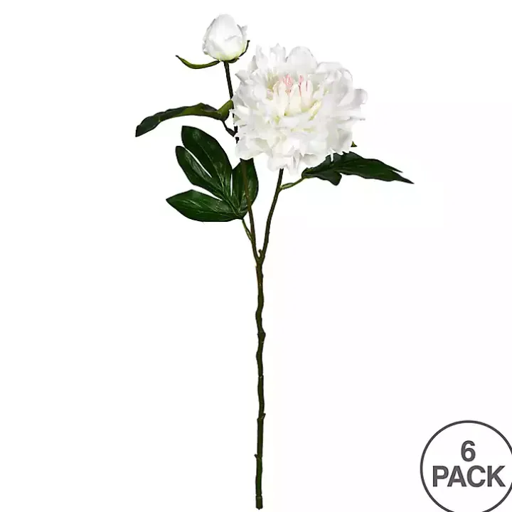 Cream Blooming Peony Stems, Set of 6