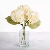 Cream Hydrangea Arrangement in Glass Vase