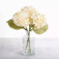 Cream Hydrangea Arrangement in Glass Vase