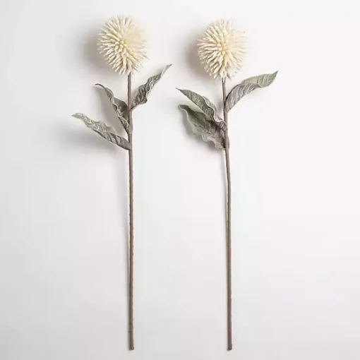 Cream Ombre Thistle Flower Stem