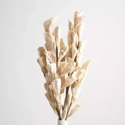 Cream Shell Leaf Stem