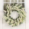 Cream Wheat Spiral Wreath