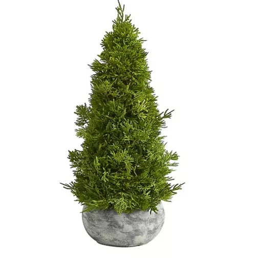 Cypress Cone Tree with Planter