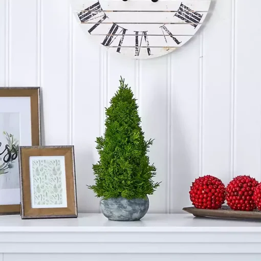Cypress Cone Tree with Planter