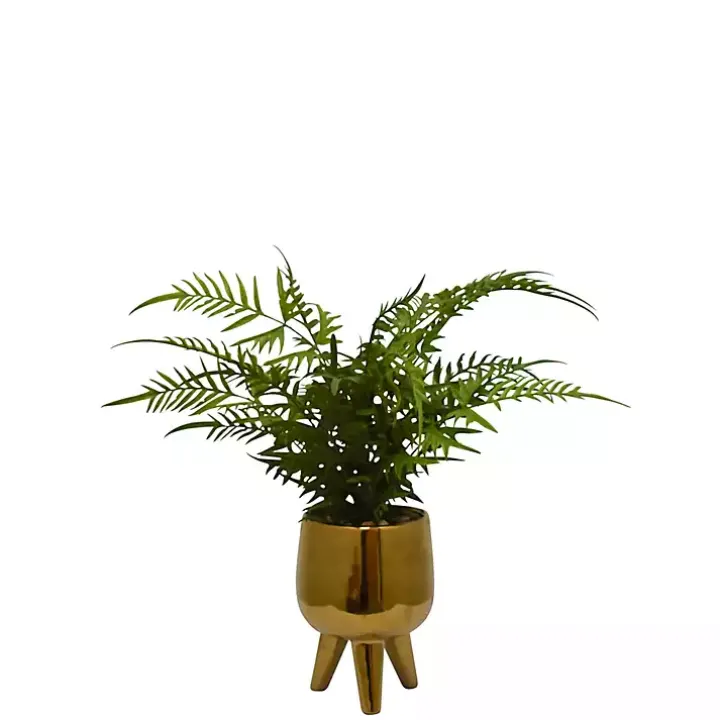 Desktop Palm Plant in Gold Planter