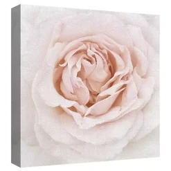 Dewdrop Rose Canvas Art Print