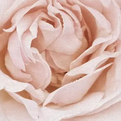 Dewdrop Rose Canvas Art Print