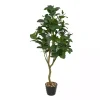 Douban Green in Ribbed Rock Planter