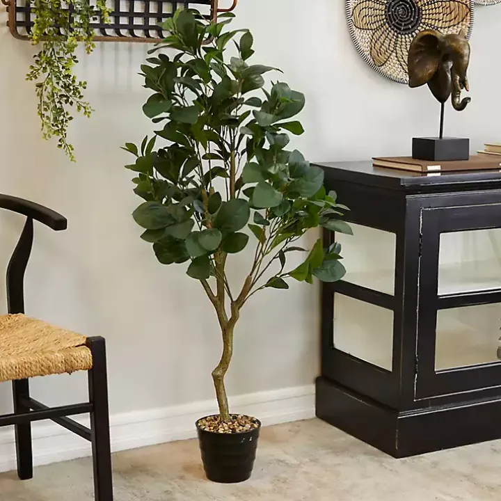 Douban Green in Ribbed Rock Planter