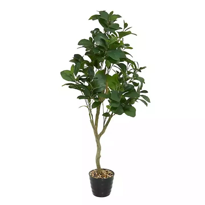 Douban Green in Ribbed Rock Planter