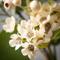 Eucalyptus and Wax Flower Wreath