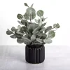 Eucalyptus Arrangement in Black Planter