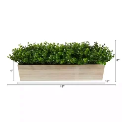 Eucalyptus Arrangement in Wide Wooden Planter