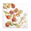 Eucalyptus Leaves Spice II Canvas Art Print