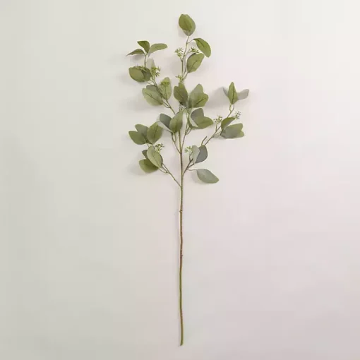 Eucalyptus Seeded Spray