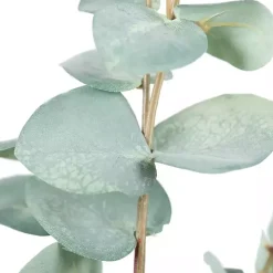 Eucalyptus Sprays, Set of 3