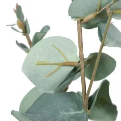 Eucalyptus Sprays, Set of 3