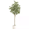 Eucalyptus Tree in White Planter, 6 ft.