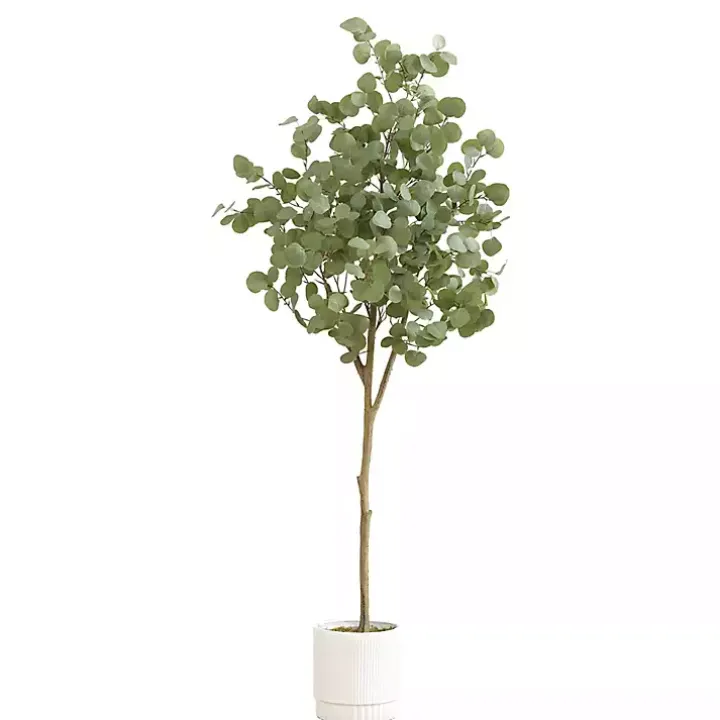 Eucalyptus Tree in White Planter, 6 ft.