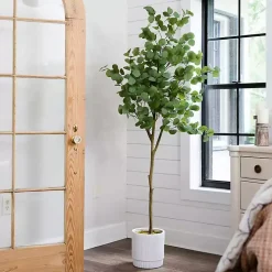 Eucalyptus Tree in White Planter, 6 ft.