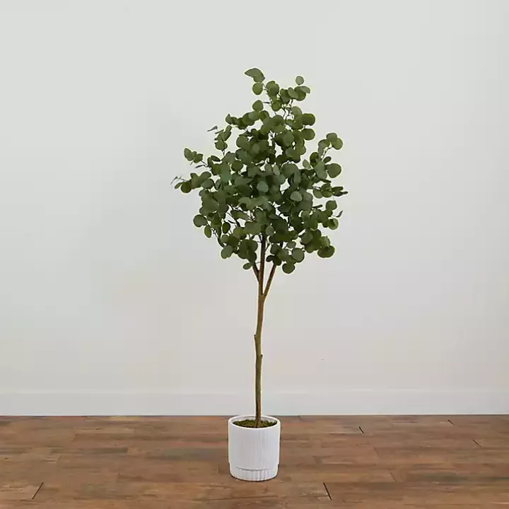 Eucalyptus Tree in White Planter, 6 ft.