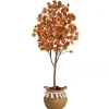Fall Eucalyptus Tree in Woven Planter, 5 ft.