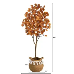 Fall Eucalyptus Tree in Woven Planter, 5 ft.