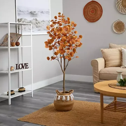 Fall Eucalyptus Tree in Woven Planter, 5 ft.