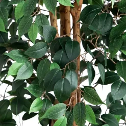 Faux Ficus Tree, 9 ft.