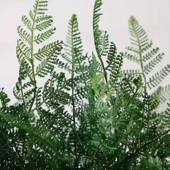 Fern Arrangement in Textured Glass Vase