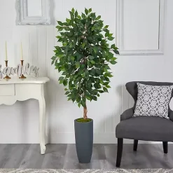 Ficus Tree in Gray Oblong Planter, 60 in.