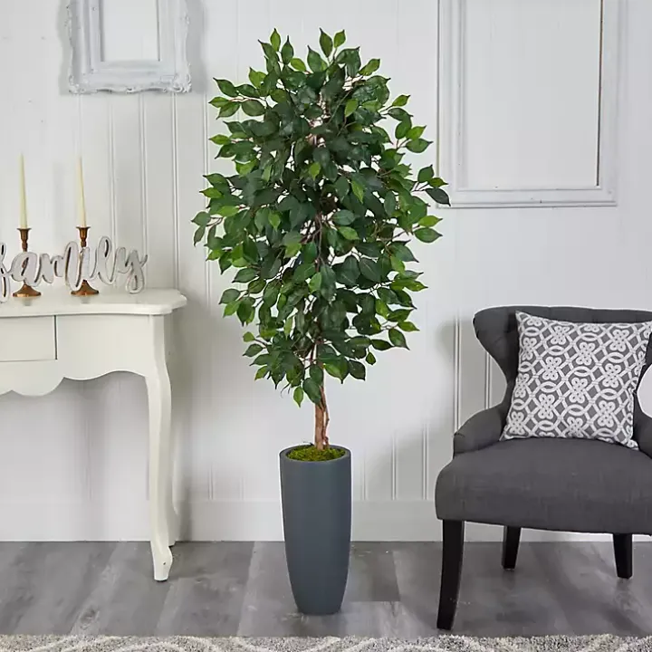 Ficus Tree in Gray Oblong Planter, 60 in.