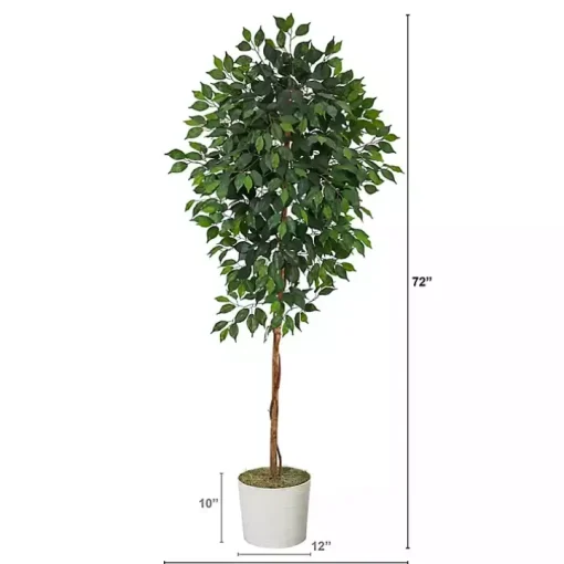 Ficus Tree with Moss in White Tin Planter