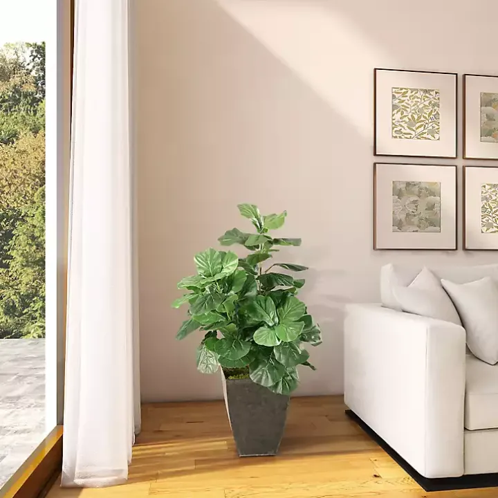 Fiddle Leaf Fig Tree in Black Planter, 4 ft.