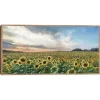 Field of Gold Framed Canvas Art Print