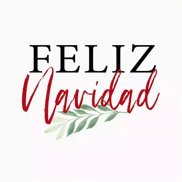 Framed Feliz Navidad Christmas Canvas Art Print