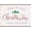Fresh Cut Trees Framed Canvas Print
